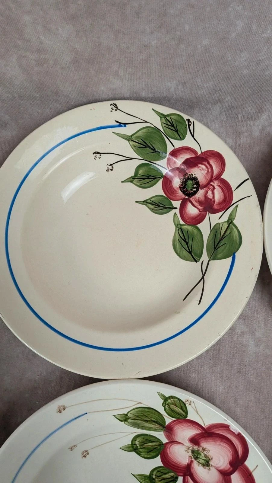 Set of 9 Sarreguemines Liliane model hollow plates – photo 7